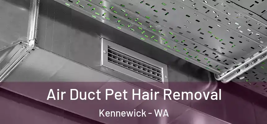  Air Duct Pet Hair Removal Kennewick - WA