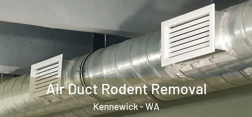  Air Duct Rodent Removal Kennewick - WA