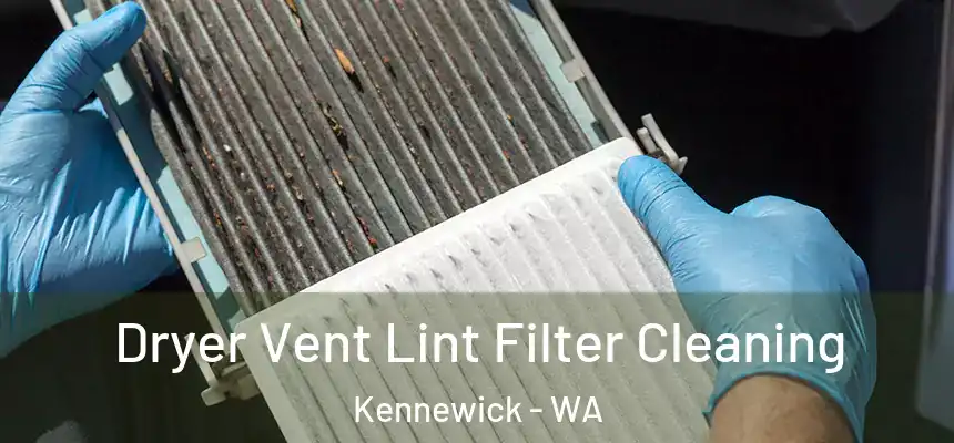  Dryer Vent Lint Filter Cleaning Kennewick - WA