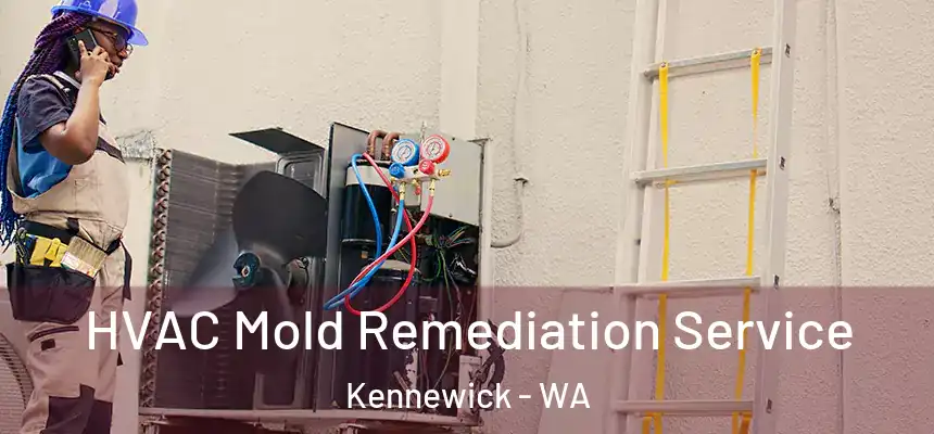 HVAC Mold Remediation Service Kennewick - WA