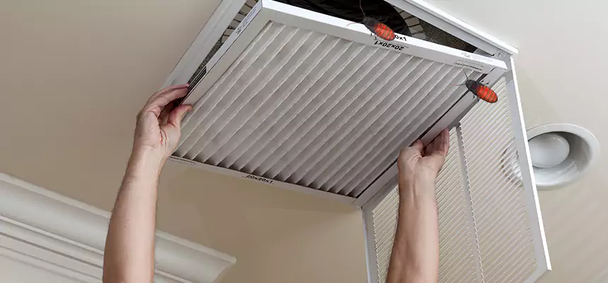 Preventive Cockroach-Proofing for Ducts in Kennewick