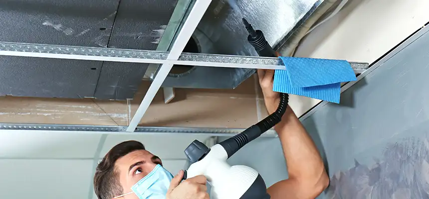 Our Air Duct Rodent Removal Services in Kennewick, WA