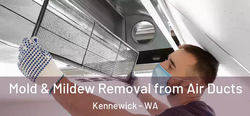  Mold & Mildew Removal from Air Ducts Kennewick - WA