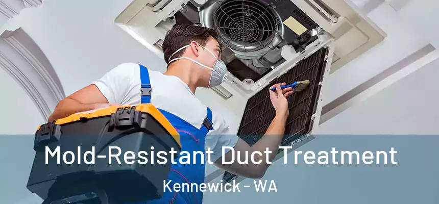  Mold-Resistant Duct Treatment Kennewick - WA