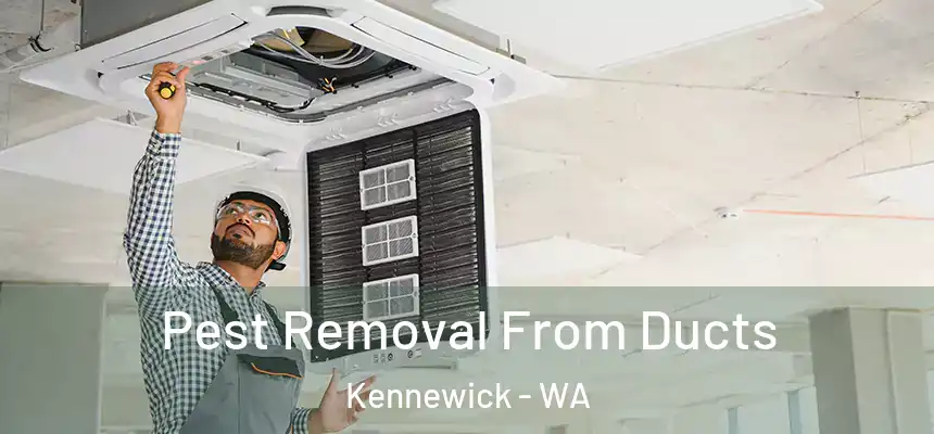  Pest Removal From Ducts Kennewick - WA