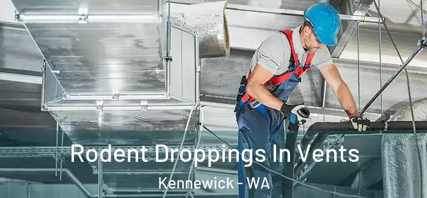  Rodent Droppings In Vents Kennewick - WA