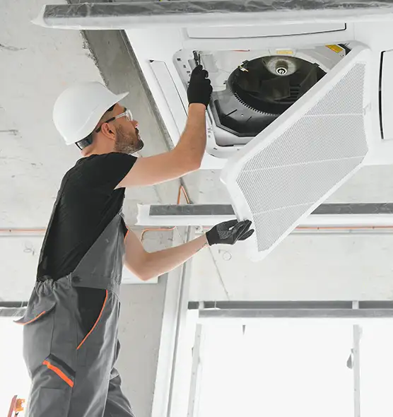 About Air Duct Rodent Removal in Kennewick, WA