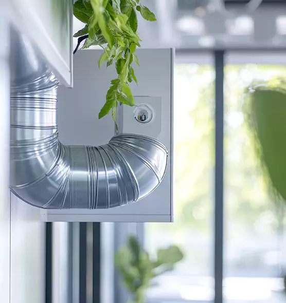 Professional Eco-Safe Dryer Vent Cleaning in Kennewick, WA