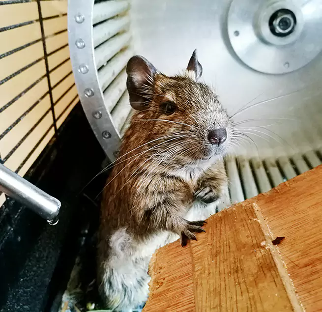 Why Homeowners & Businesses Trust Us Kennewick, WA