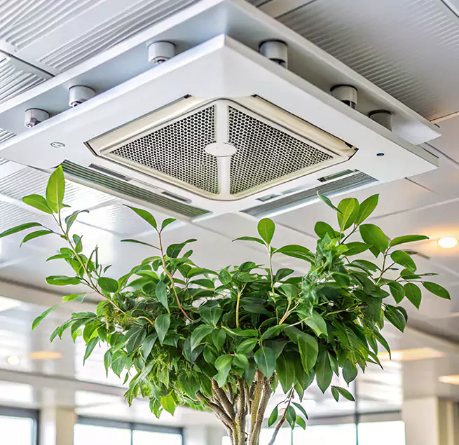 Why Homeowners & Businesses Trust Us in Kennewick, WA?